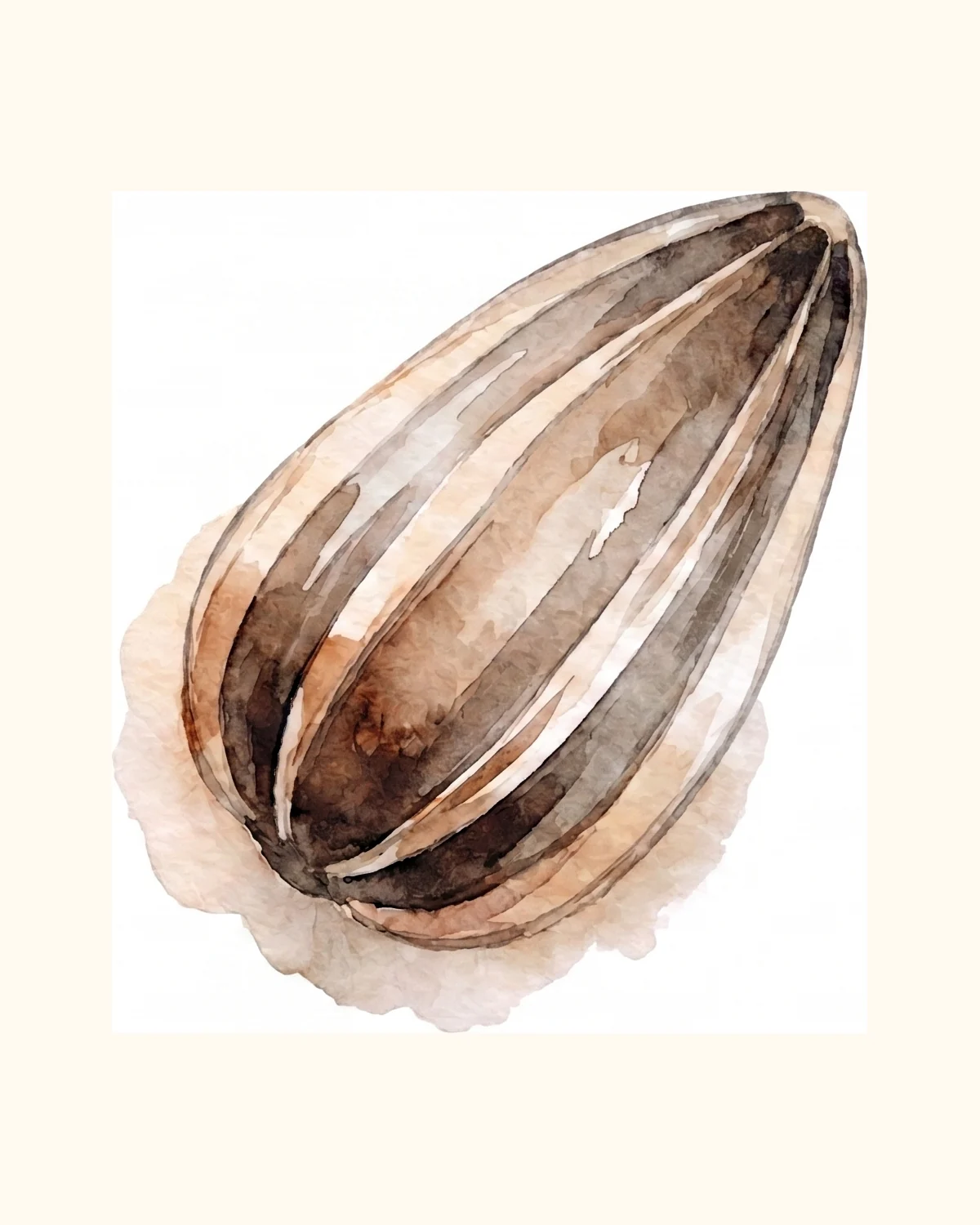 Watercolour sunflower seed on a warm paper background.